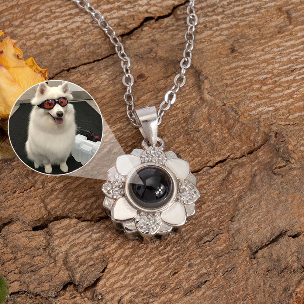 Collar de proyección de fotos de mascotas de girasol conmemorativo personalizado Navidad, regalo de cumpleaños