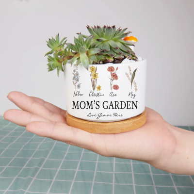Mini maceta para plantas suculentas personalizada para el jardín de mamá, regalos de decoración para mamá, regalo para el día de la madre